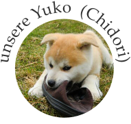 unsere Yuko  (Chidori)