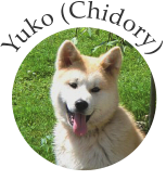 Yuko (Chidory)